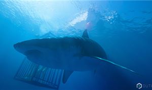 Outpost Completes 420+ VFX Shots For <I>47 Meters Down</I>