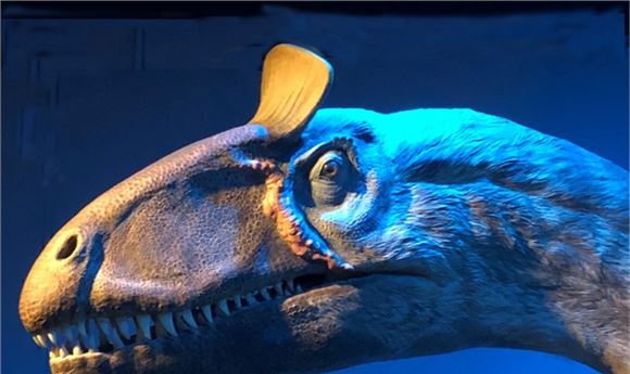 Digital Technology Looks Inside the Head of a Dinosaur
